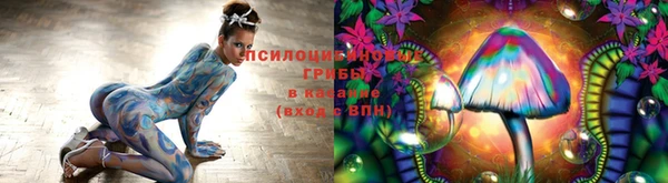 не бодяженный Зеленокумск