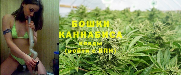 дживик Зерноград